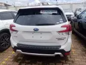 car Back