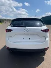 back