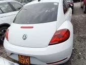 car Back