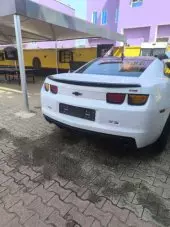 back