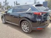 car Left Back