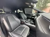 interiorBack