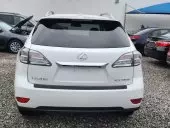 car Back