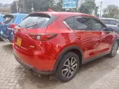 car Right Back