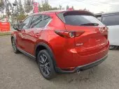 car Left Back