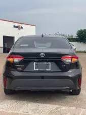 car Back