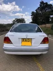 back