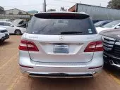 car Back