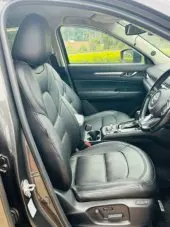 interiorBack