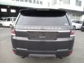 back