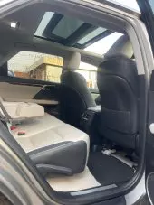 interiorBack