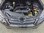 bonnet