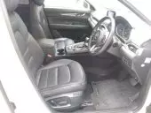 interiorBack