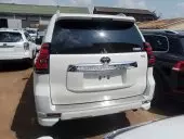 car Back