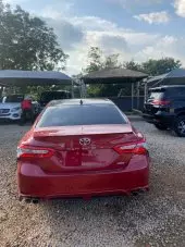 car Back