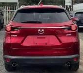 back