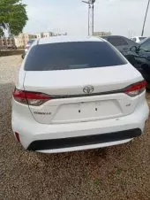 back
