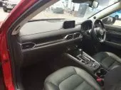 interiorBack