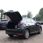 car Left Back