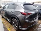 car Back