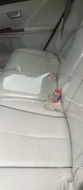 interiorBack