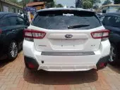 car Back