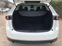 car Back