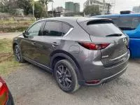 car Left Back