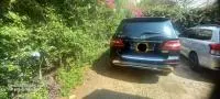 car Back