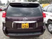 car Back