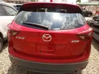 car Back