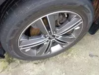 tyre0