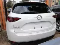 car Back