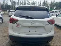car Back