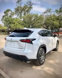 car Right Back