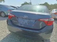 car Back