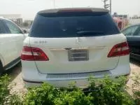 car Back