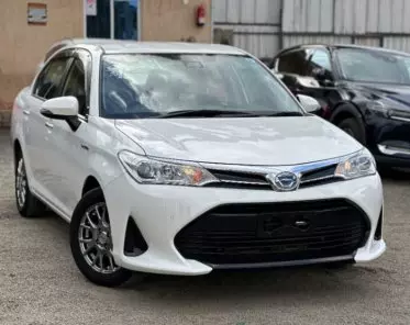 Toyota Axio 