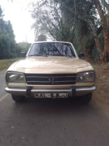 Peugeot 504