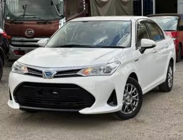 Toyota Axio 