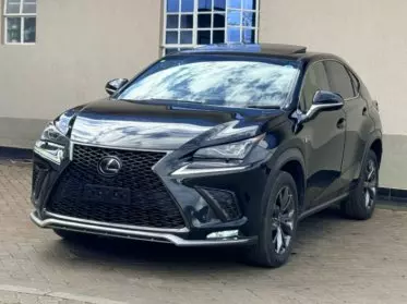 Lexus NX 300