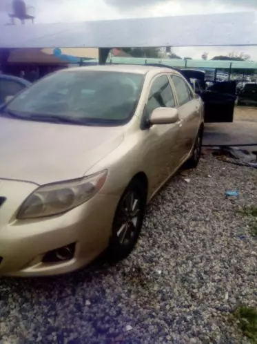 Toyota corolla
