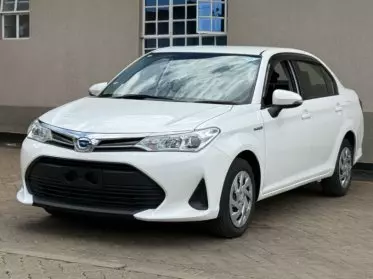 Toyota Axio 