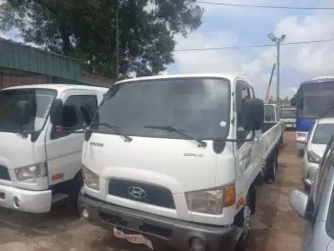 Hyundai Mighty
