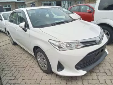 Toyota Axio 