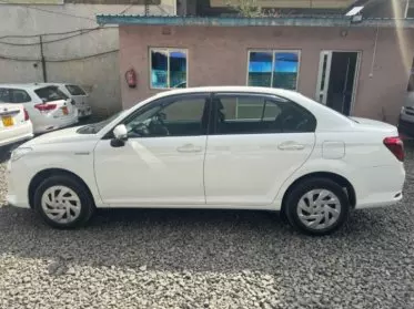 Toyota Axio 