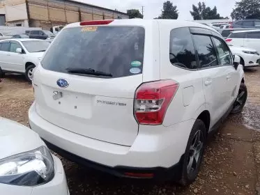 BYD 124 Spider
