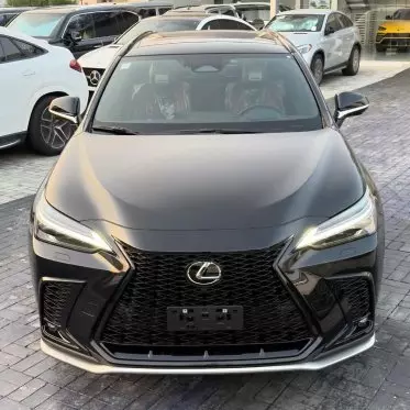Lexus NX 300