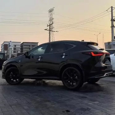Lexus NX 300