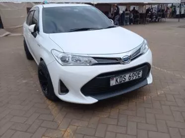 Toyota Axio 